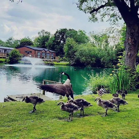 Lakefront 5 Star Country Park Private Fishing Free Parking 1